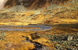 ニキビに効果的な塗り薬の選び方と使用順番は？