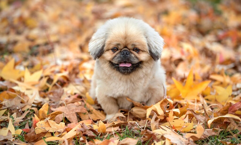 大人ニキビに漢方がもたらす効果の体験談とは？