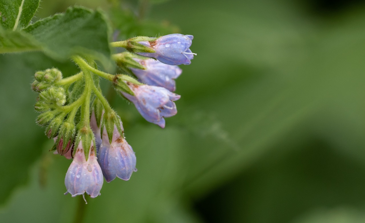 大人ニキビに効かない薬の原因とは？